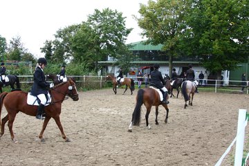 Bild 774 - WBO-Turnier am 18.9.11